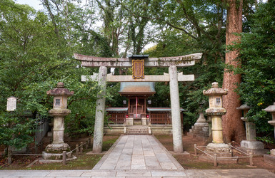 Similar image 21020548