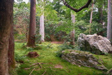 Similar image 21020555