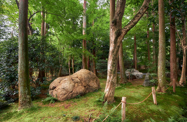 Similar image 21020556