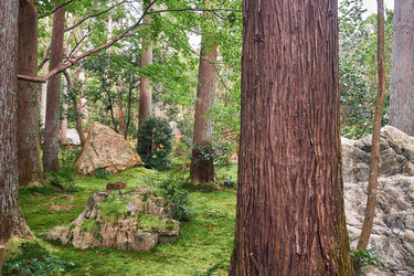 Similar image 21020557