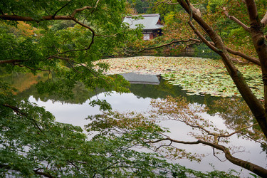 Similar image 21020561