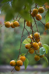 Similar image 21020564