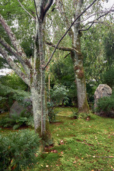 Similar image 21020566