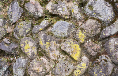 Similar image 21020568