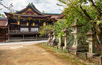 Similar image 21020709