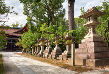 Similar image 21020710