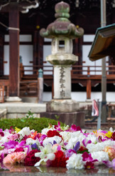 Similar image 21020714