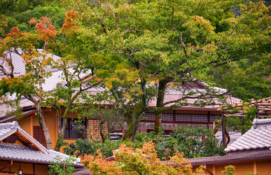 Similar image 21020737