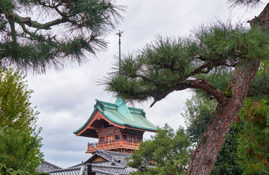 Similar image 21020739