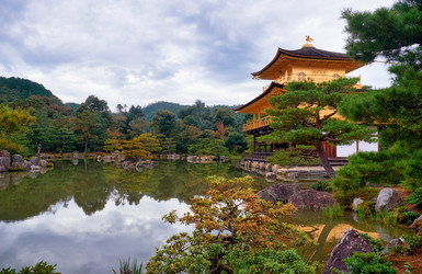 Similar image 21020776