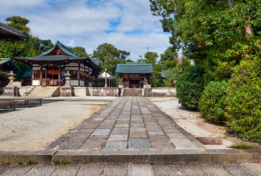 Similar image 21020777