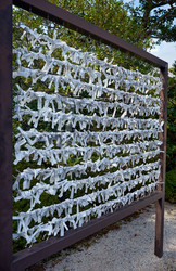 Similar image 21020791