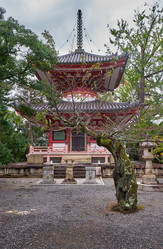 Similar image 21020571