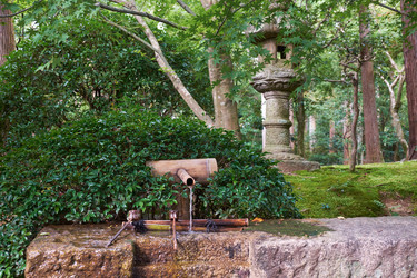 Similar image 21020577