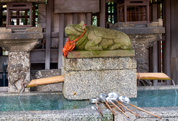 Similar image 21020580