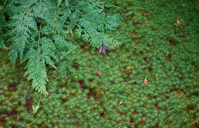 Similar image 21020581