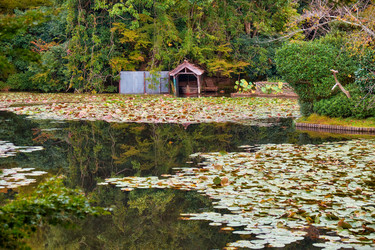 Similar image 21020583