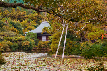 Similar image 21020585