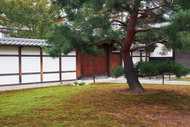 Similar image 21020586