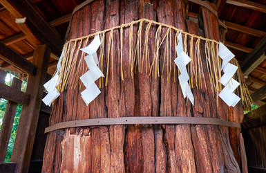 Similar image 21020609