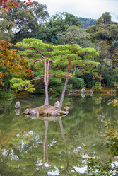 Similar image 21020612