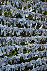 Similar image 21020613