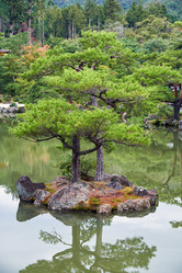 Similar image 21020614