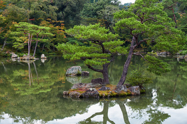 Similar image 21020616