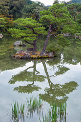 Similar image 21020620