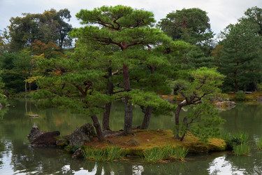 Similar image 21020631