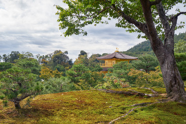 Similar image 21020634