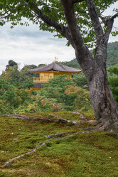 Similar image 21020655