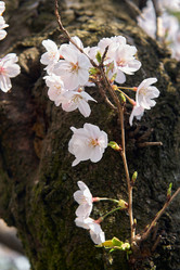 Similar image 21020588