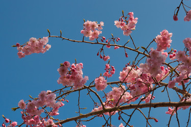 Similar image 21020591