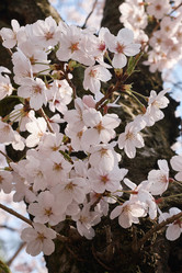 Similar image 21020592