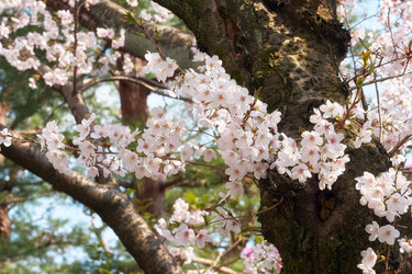 Similar image 21020597