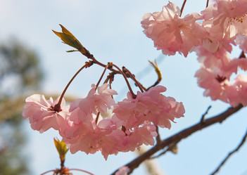 Similar image 21020601