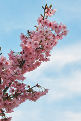 Similar image 21020602