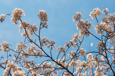 Similar image 21020607