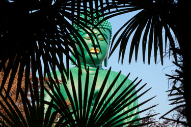 Similar image 21020668