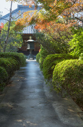 Similar image 21020671