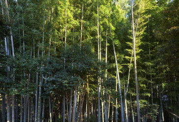 Similar image 21020672