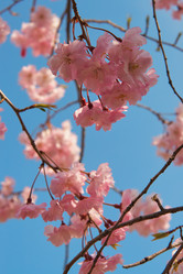 Similar image 21020673