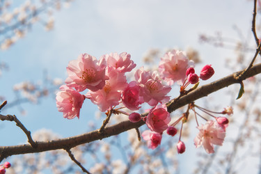 Similar image 21020676