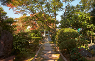 Similar image 21020679