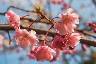 Similar image 21020680