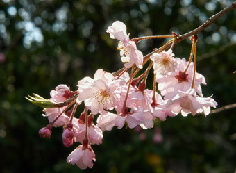 Similar image 21020682