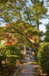 Similar image 21020683