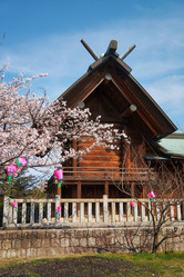 Similar image 21020684