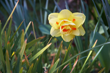 Similar image 21020686